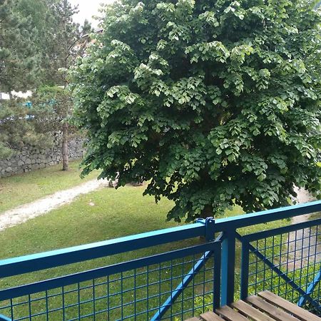 Duplex Lumineux - 40M2 - 2 Chambres - Balcon Terrasse - Parking - Entierement Renove En Mai 2024 Cauterets Εξωτερικό φωτογραφία